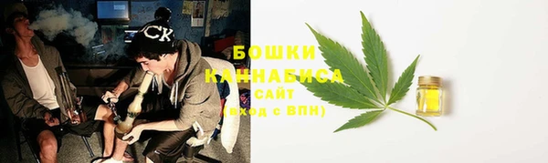 дмт Богданович