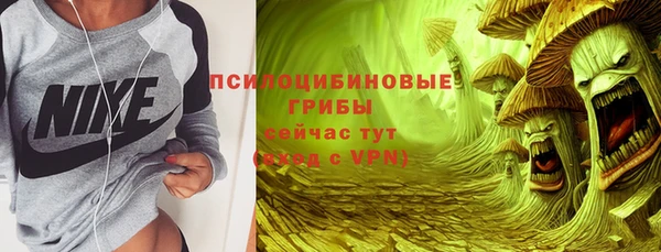 дмт Богданович