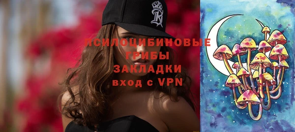 дмт Богданович