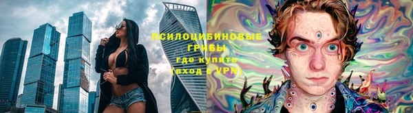 МДПВ Семёнов