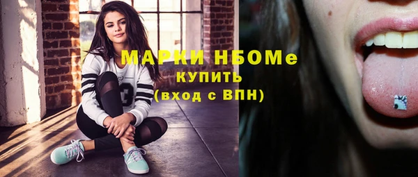 дмт Богданович
